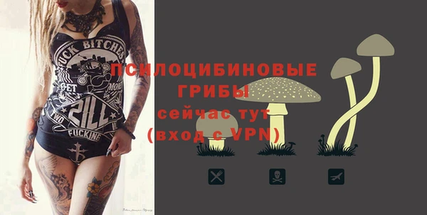 соль ск Абдулино