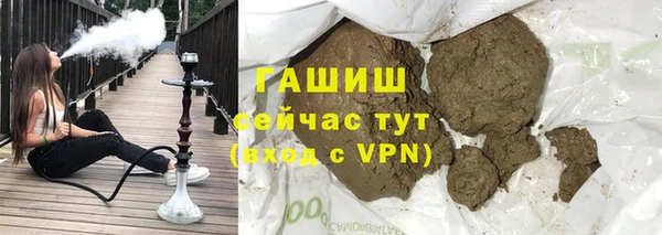прущие грибы Новозыбков